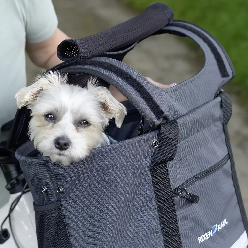 KLICKfix Tiertasche Doggy Sunshade schwarz