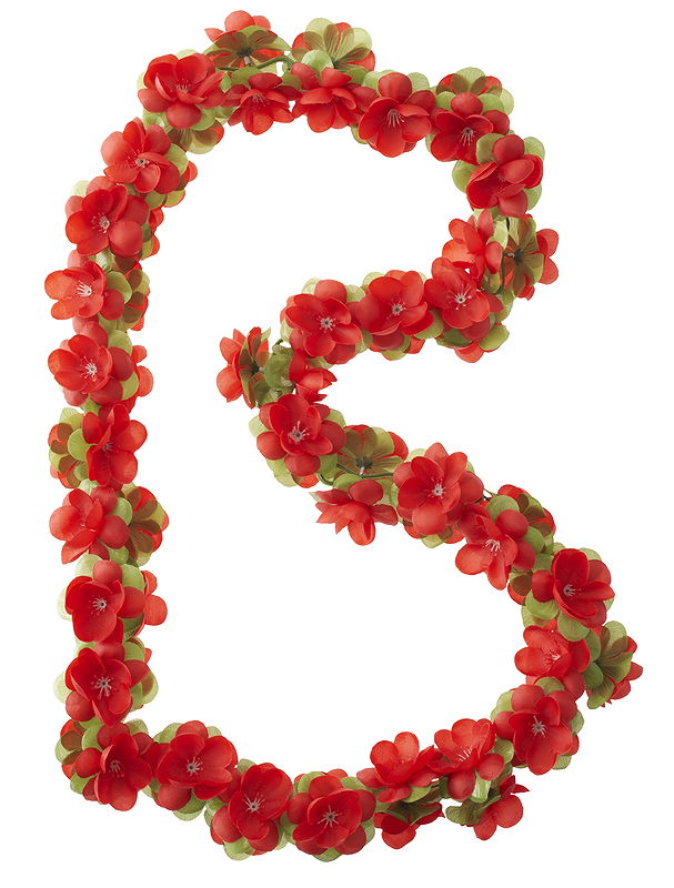 Basil Blumengirlande rot