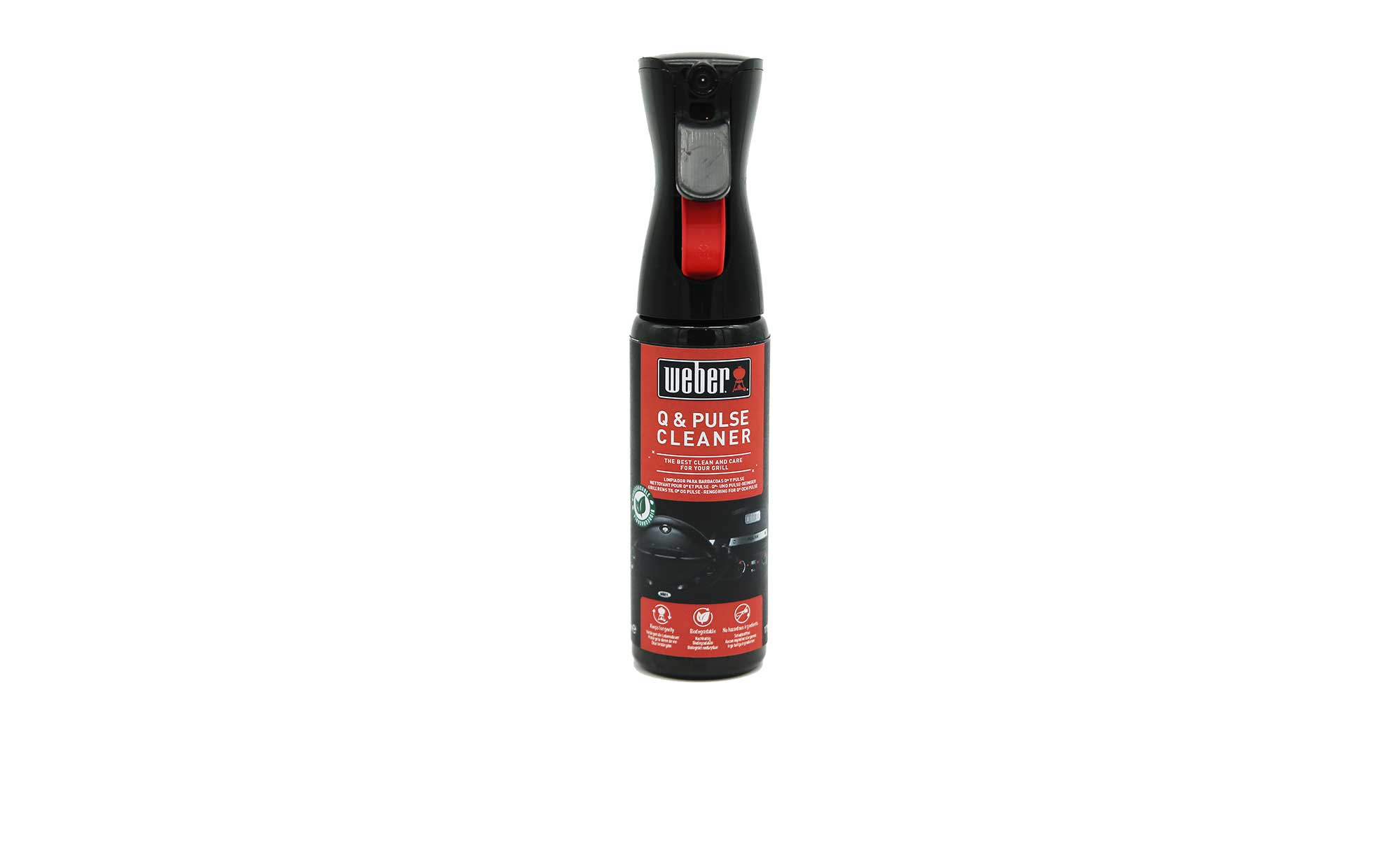 Q & Pulse-Reiniger  300 ml